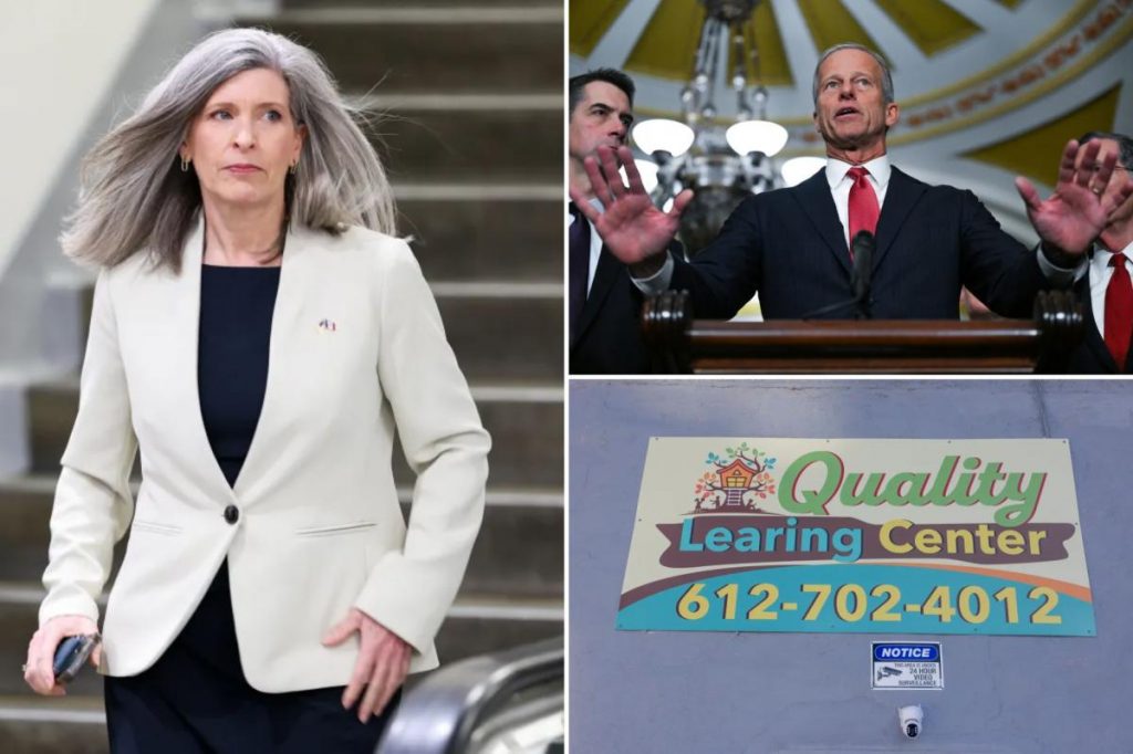 Senate Republicans unveil suite of anti-fraud bills to save $240B