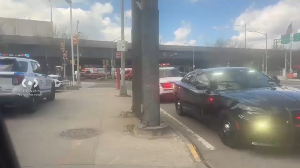 Skeletal remains found under Brooklyn Queens Expressway in Jackson Heights Skeletal remains found under Brooklyn Queens Expressway in Jackson Heights