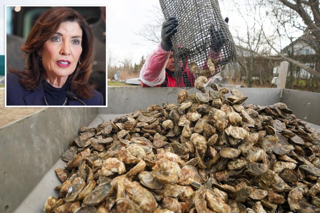 Suffolk County may be declared ‘disaster area’ over oyster crisis Suffolk County may be declared 'disaster area' over oyster crisis