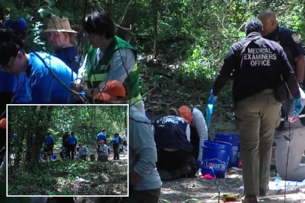 Tennessee human remains belonging to multiple children discovered in Memphis woods