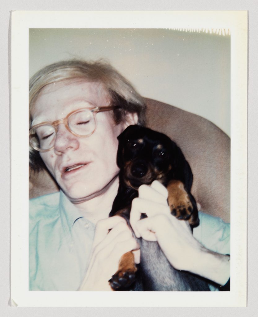 The Whitney Museum in NYC Unveils a New Exhibit About Andy Warhol
