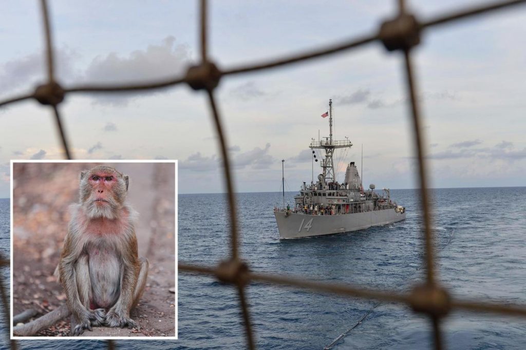 US sailor prepped for minesweeping in Strait of Hormuz sidelined by monkey attack