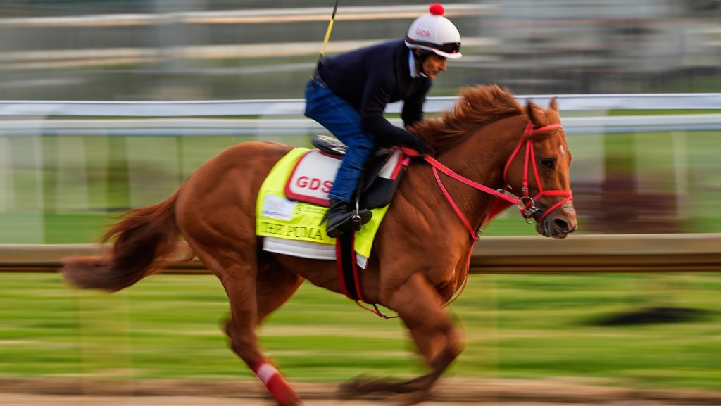 2026 Kentucky Derby horses: Race down to 19 horses after The Puma gets scratched