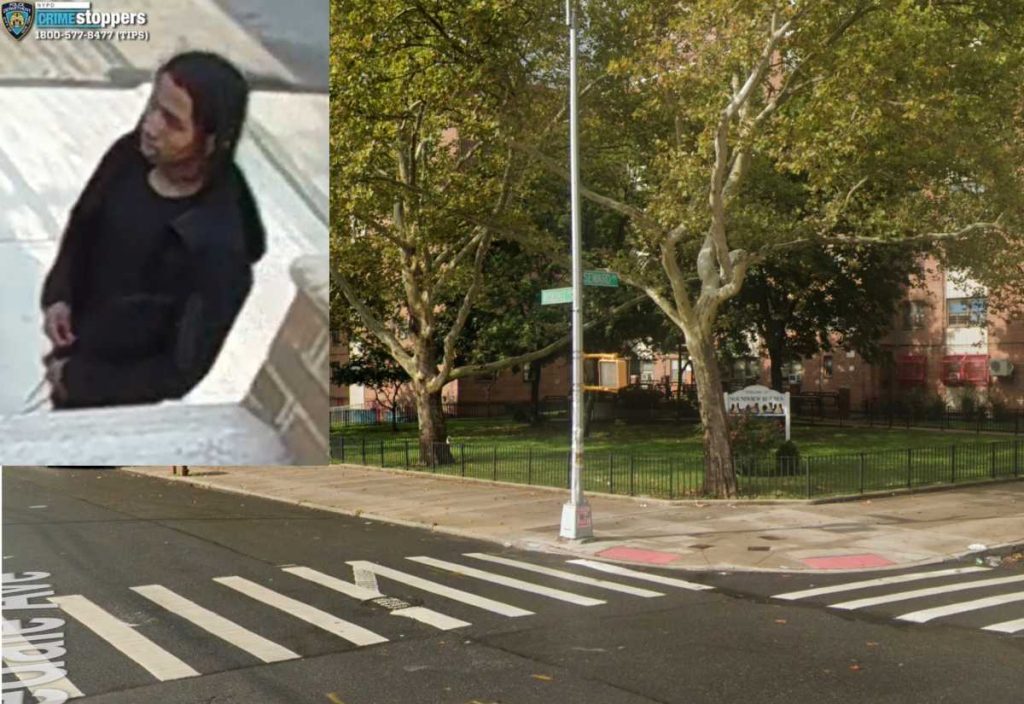 Bronx shooting suspect sought for targeting teen inside parked car waiting for ride to school: cops