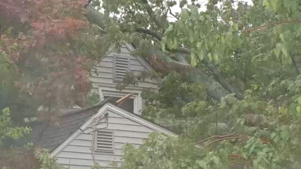 Heavy rain topples trees across Tri-State, impacting train service and damaging cars