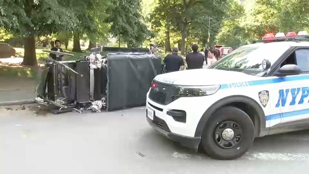 Horse briefly freed after carriage overturns in Central Park Horse briefly freed after carriage overturns in Central Park