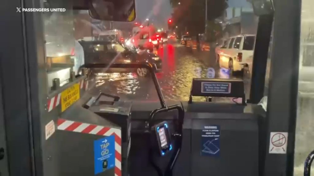 NYC storm damage: Heavy rainfall, thunderstorms lead to flooded roads, downed trees