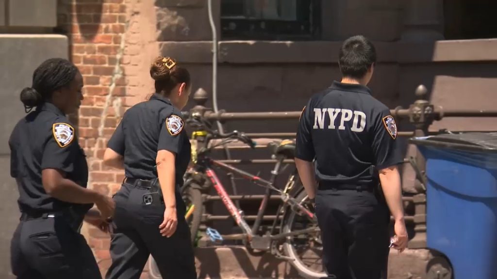 NYPD splits Bronx into 2 separate police zones, adds 200 officers to fight crime