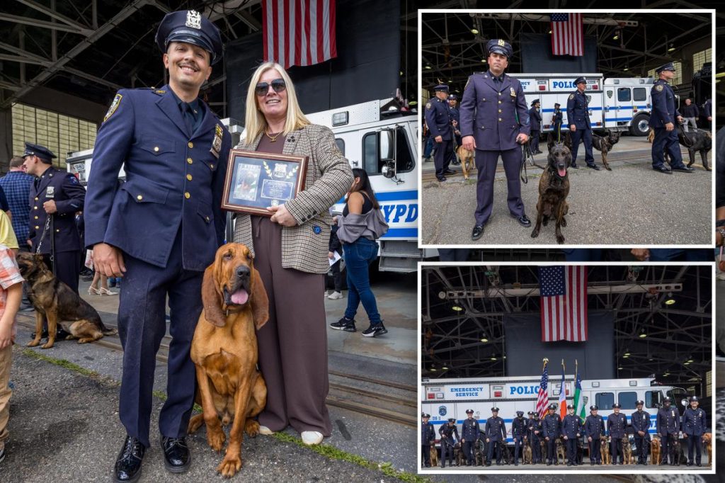 NYPD’s new K-9 cops set to take a bite out of crime after graduating NYPD’s new K-9 cops set to take a bite out of crime after graduating