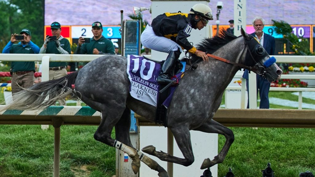 Napoleon Solo crosses the finish line first in the Preakness Stakes Napoleon Solo crosses the finish line first in the Preakness Stakes