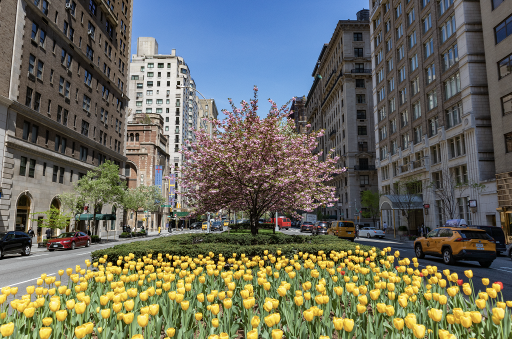 Park Avenue Redesign Plans Revealed for Midtown NYC: See Photos