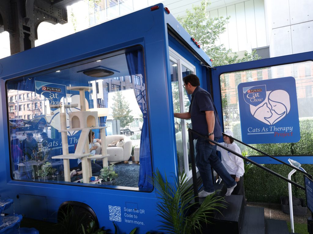 Students Can Get Free Cat Therapy Sessions This Week in NYC
