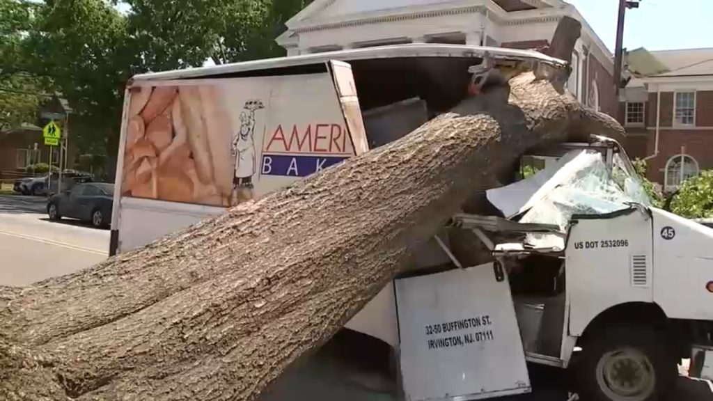 Truck crashes into huge downed tree in Newark, trapping driver inside; 2 other vehicles damaged