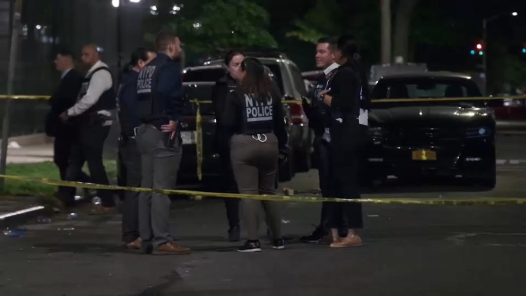 Woman fatally shot in eye near University Heights, Bronx playground and school
