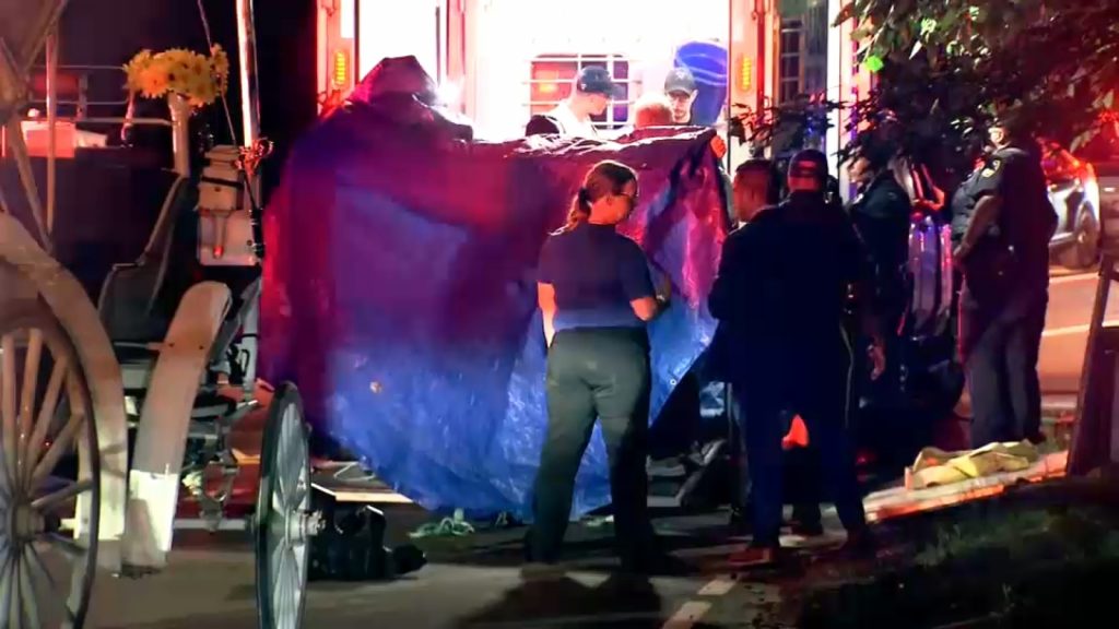 16-year-old carriage horse collapses, dies in Central Park
