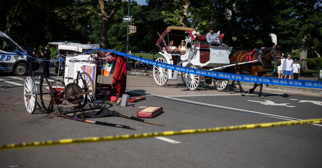 18-Year-Old Dies in Fall From Horse Carriage in Central Park 18-Year-Old Dies in Fall From Horse Carriage in Central Park
