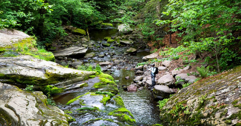 36 Hours in the Catskills: Things to Do and See