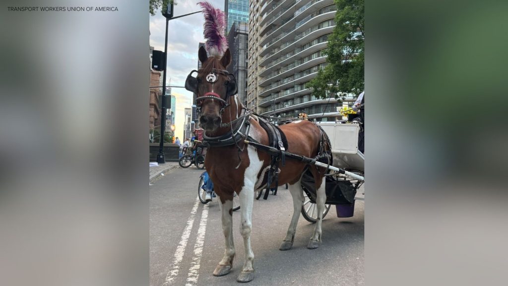 Carriage horse died after eating poisonous plant, report finds Carriage horse died after eating poisonous plant, report finds