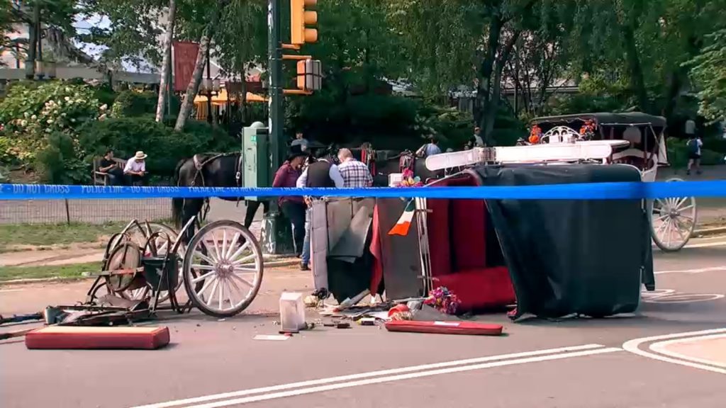 Central Park carriage horse gets loose, killing 18-year-old tourist visiting NYC Central Park carriage horse gets loose, killing 18-year-old tourist visiting NYC