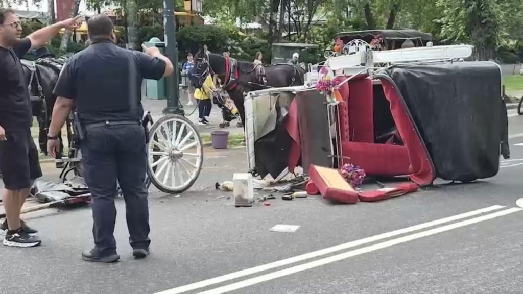 Central Park horse-drawn carriage rides paused after 18-year-old tourist killed