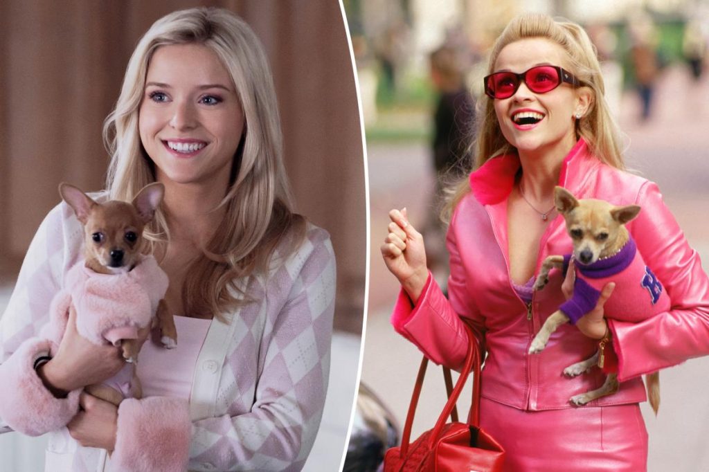 'Legally Blonde' prequel series 'Elle' is shockingly not bad: review