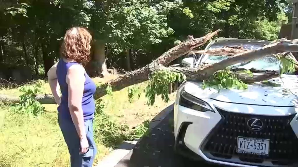 Long Island storm damage: Cleanup underway after severe weather causes power outages, fires, downed trees Long Island storm damage: Cleanup underway after severe weather causes power outages, fires, downed trees