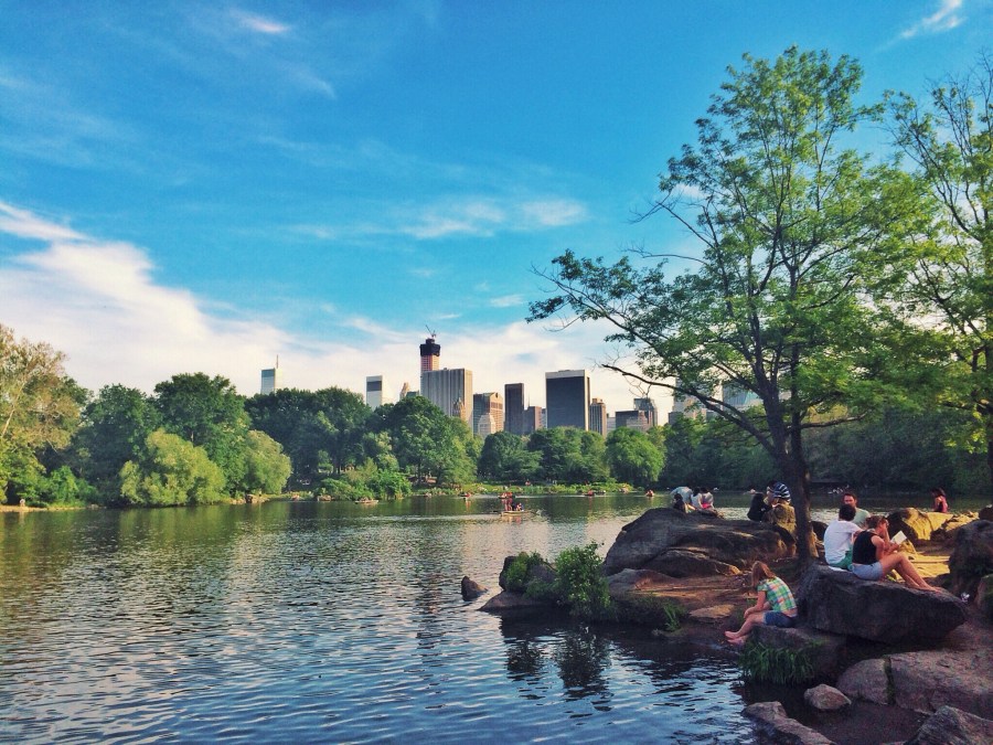 Man arrested after jumping into Central Park lake to evade police: NYPD Man arrested after jumping into Central Park lake to evade police: NYPD