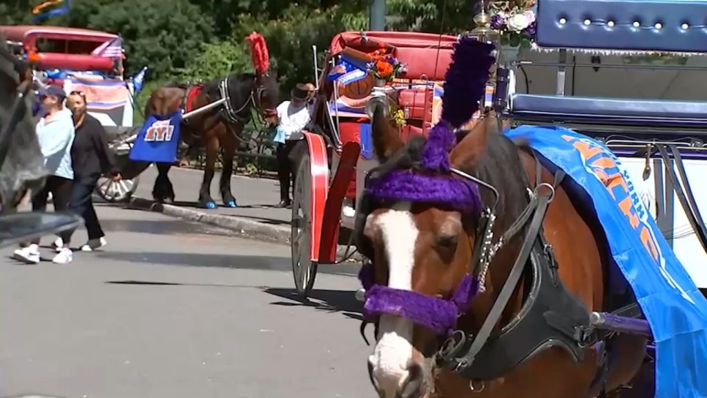 NYC horse carriage drivers to take refresher training inside Central Park following deadly accident that killed tourist NYC horse carriage drivers to take refresher training inside Central Park following deadly accident that killed tourist