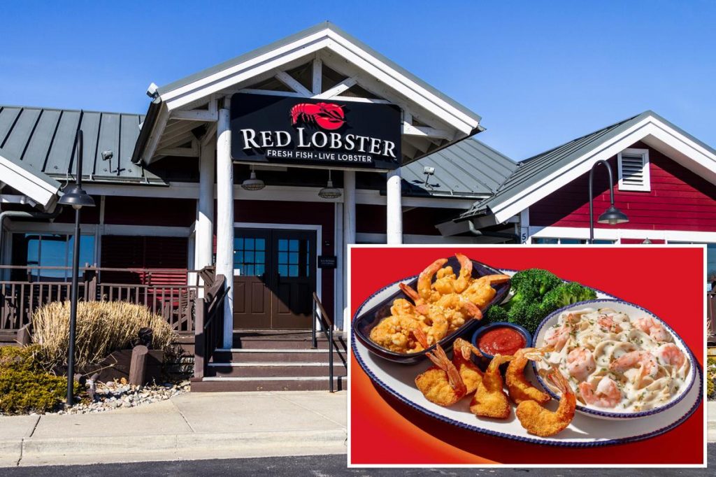 Red Lobster's disastrous 'Endless Shrimp' deal was owner's scheme to squeeze profits: lawsuit