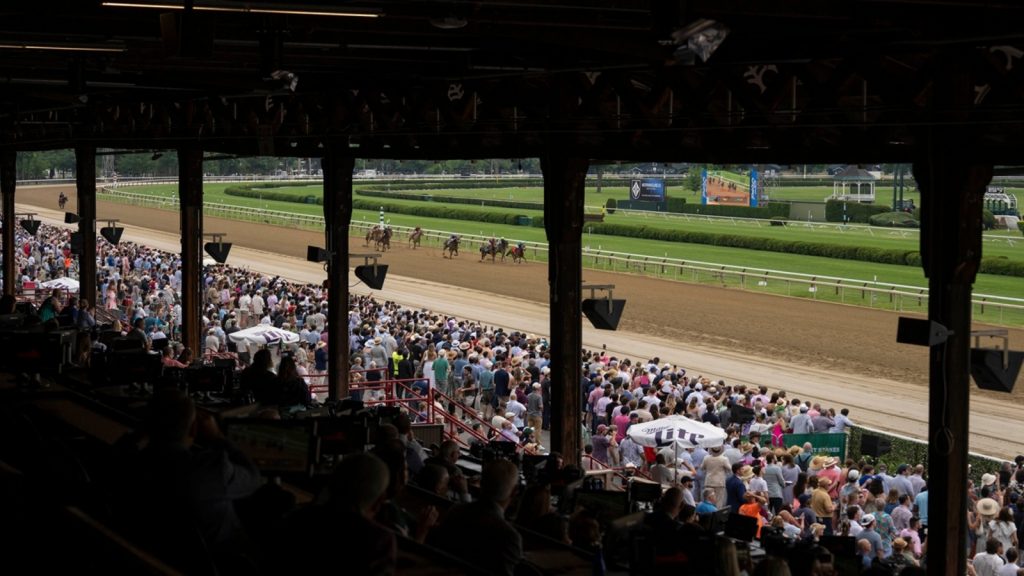 Renegade remains the favorite for the 158th running of the Belmont Stakes Renegade remains the favorite for the 158th running of the Belmont Stakes