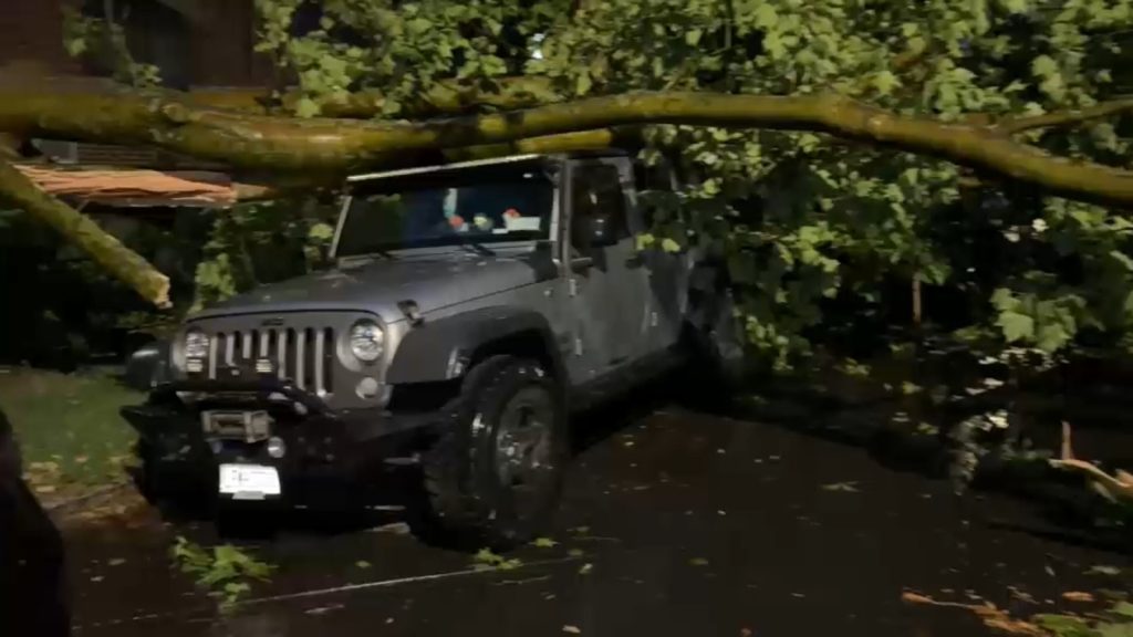 Severe thunderstorm causes downed trees, delayed flights across area