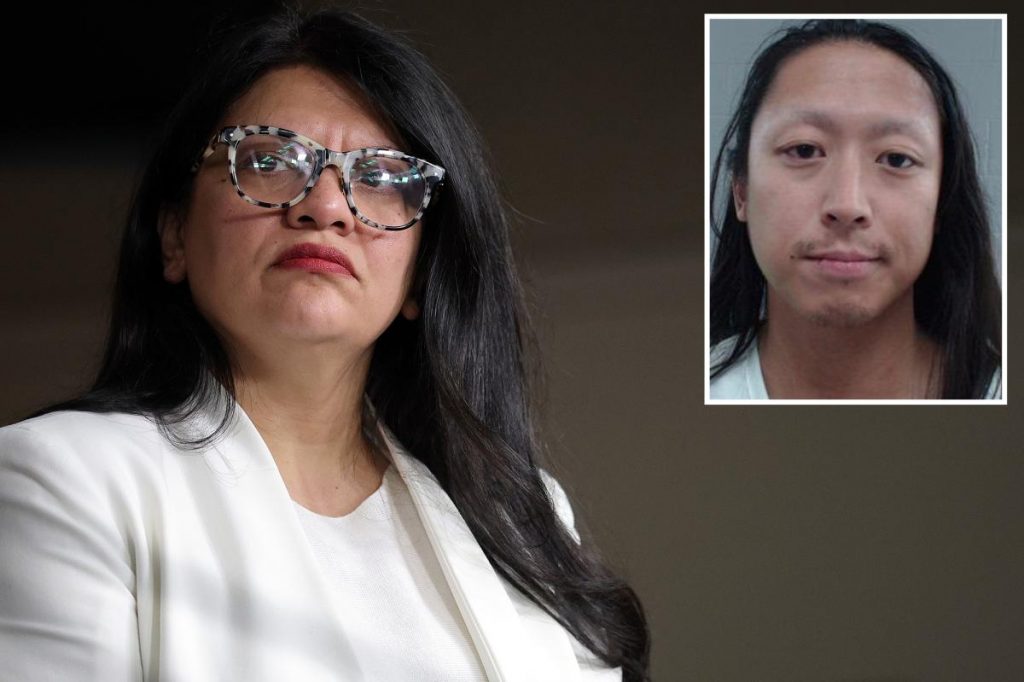 'Squad' Rep. Rashida Tlaib slammed for defending antifa members who shot Texas officer at immigration facility