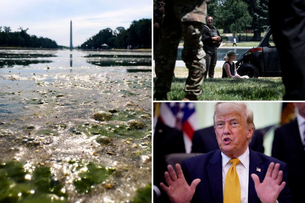Trump says algae-filled Reflecting Pool ‘beautiful as it can be,’ but will be repaired around July 4 Trump says algae-filled Reflecting Pool 'beautiful as it can be,' but will be repaired around July 4