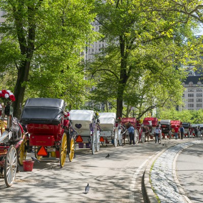 A brief history of New York City’s neverending horse carriage controversy A brief history of New York City’s neverending horse carriage controversy