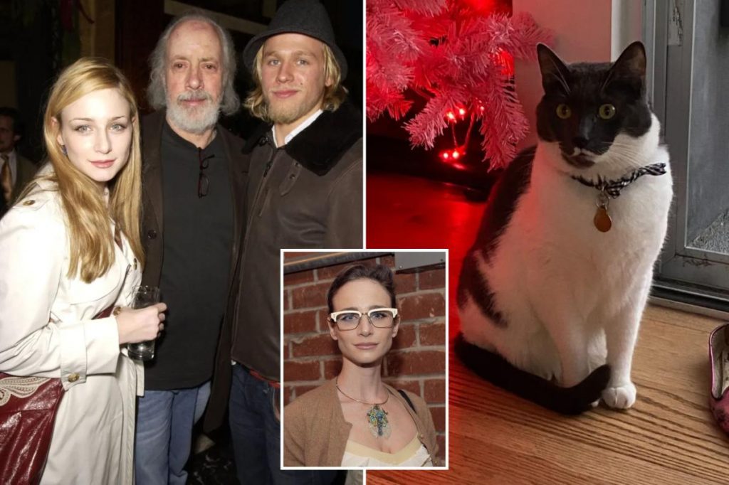 Hollywood actress claims foundation wrongly rehomed her rescue cat Hollywood actress claims foundation wrongly rehomed her rescue cat