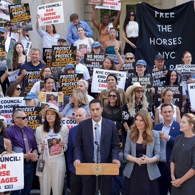Horse carriage ban sponsor Chris Marte is having a moment Horse carriage ban sponsor Chris Marte is having a moment