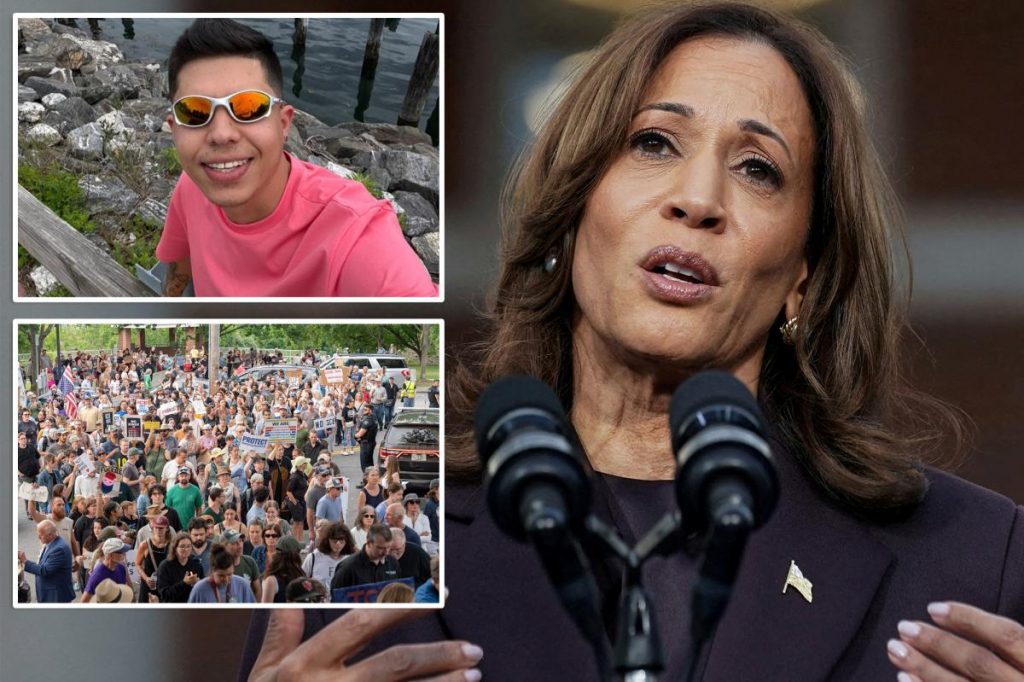 Kamala Harris hit with fact check after slamming ICE agents for fatally shooting 'illegal alien'