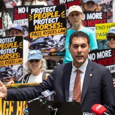 Legislation to ban horse carriages nears majority support Legislation to ban horse carriages nears majority support