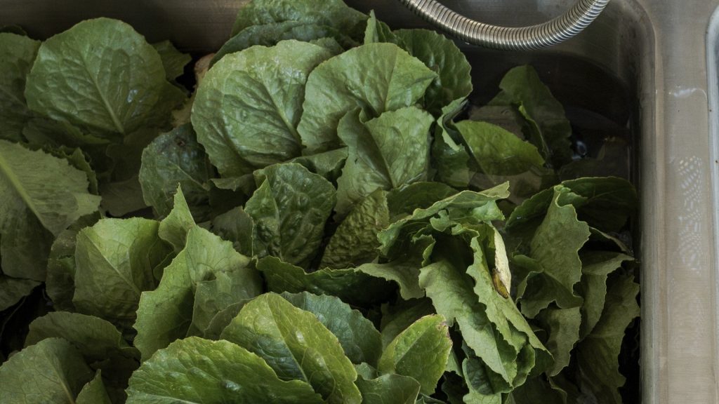 Lettuce, salad greens could be the source of cyclosporiasis illnesses, Michigan health officials say