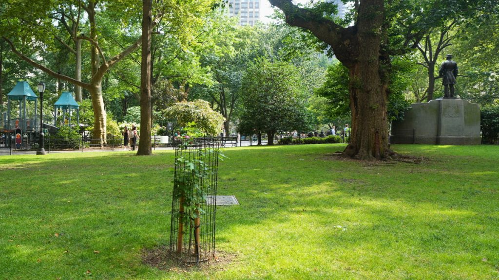 Moon Tree Birthday Party at Madison Square Park Moon Tree Birthday Party at Madison Square Park