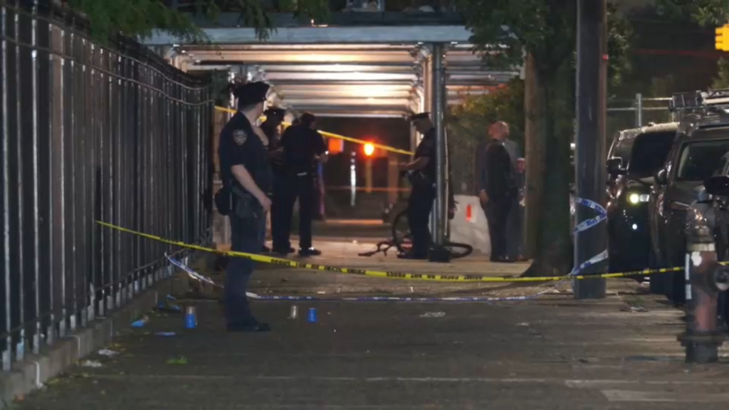 NYPD: 4 adults, 4 children shot during barbecue in Coney Island courtyard; suspect at large
