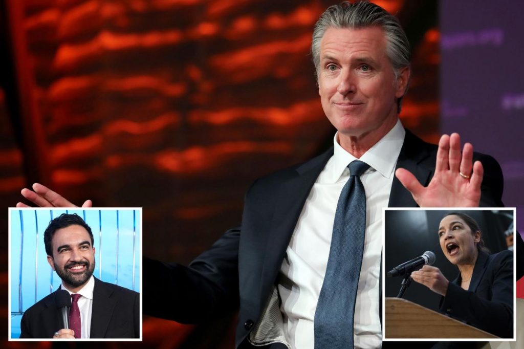 Newsom tells Democrats to be in the 'addition not subtraction' business with socialists