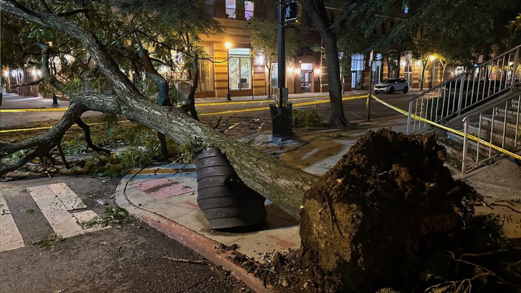Trees down, NJ Transit service disrupted after storms move through Tri-State